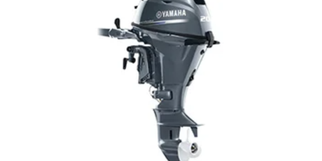 2021 Yamaha F20LWHB